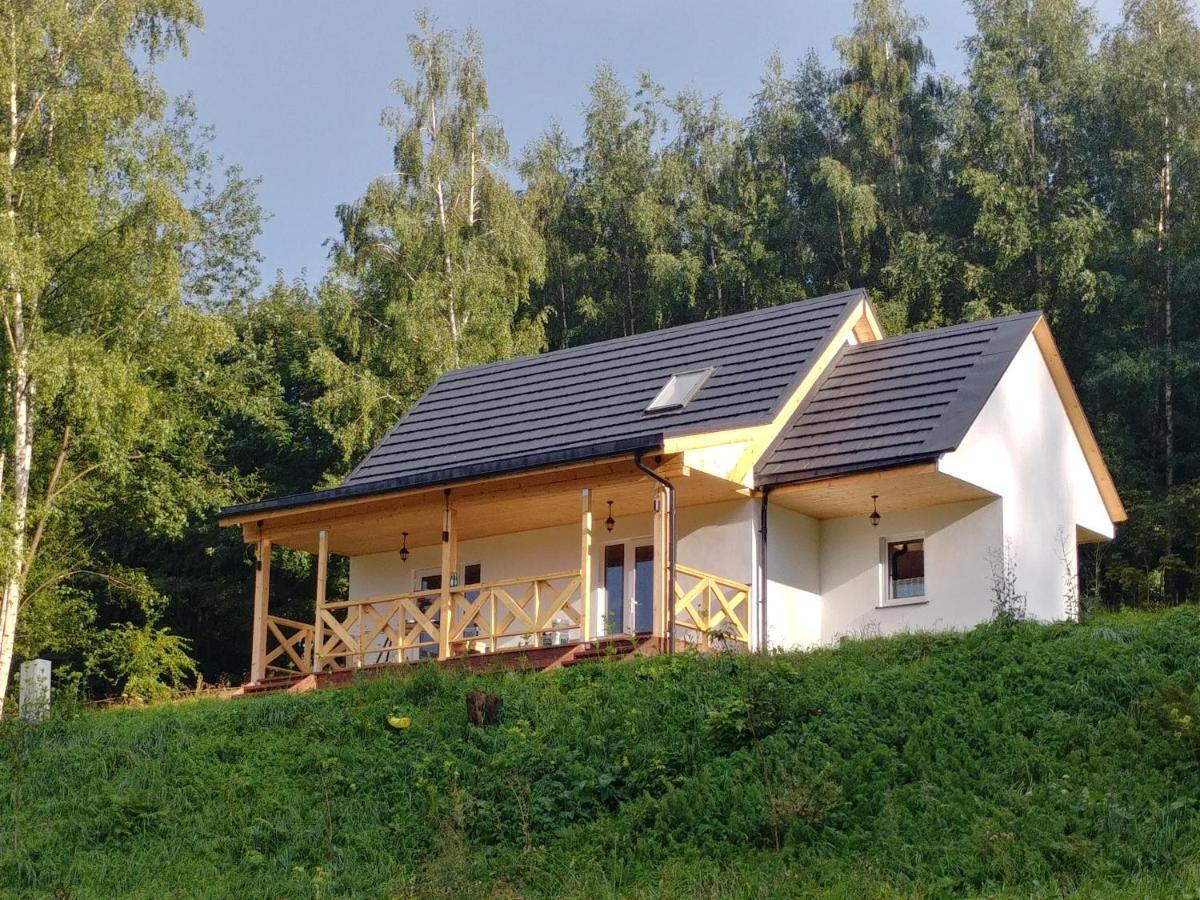 Ekogaik *