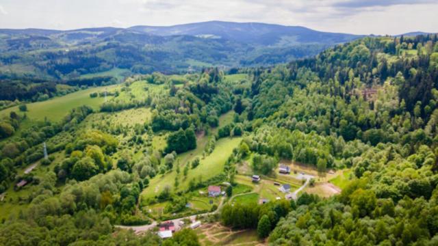 Ekogaik *